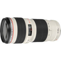 Canon EF 70-200mm f/4L USM Lens 