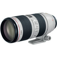 Canon EF 70-200mm f/2.8L USM Telephoto Zoom Lens