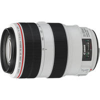 Canon EF 70-300mm f/4-5.6L IS USM Telephoto Lens